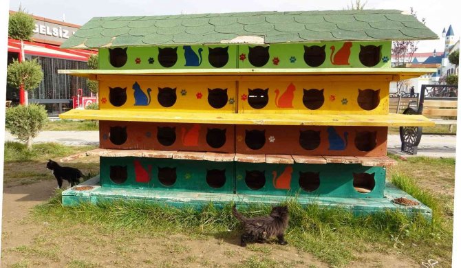 Sokak Hayvanlarına Dubleks Ve Tripleks Yuva