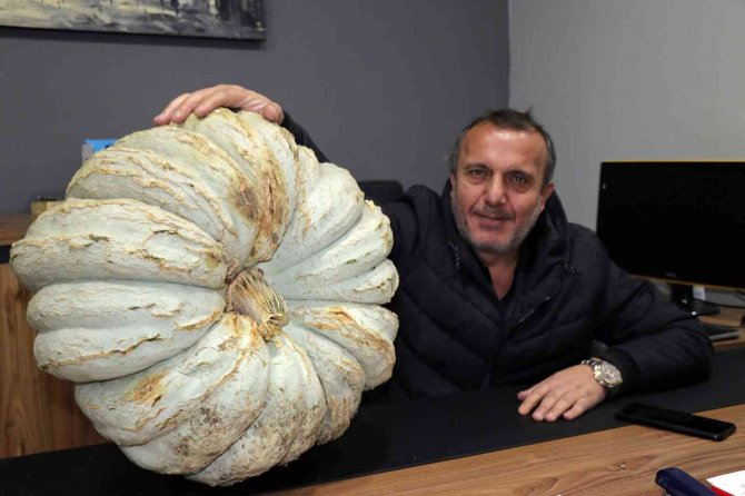 Gençlere Örnek Olmak İçin Kabak Ekti 200 Bin Tl Gelir Elde Etti