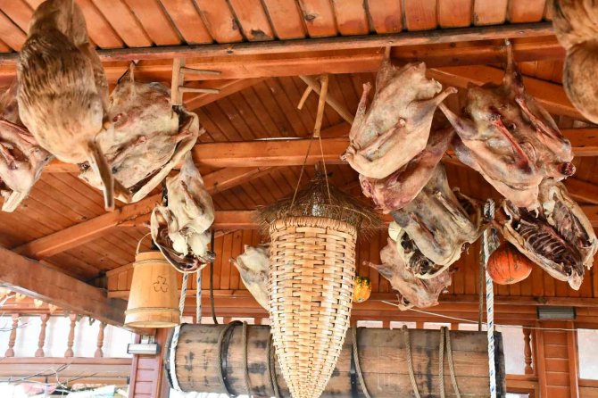 Kaz Yumurtası İle Kaz Yağı Tam Bir Şifa Kaynağı