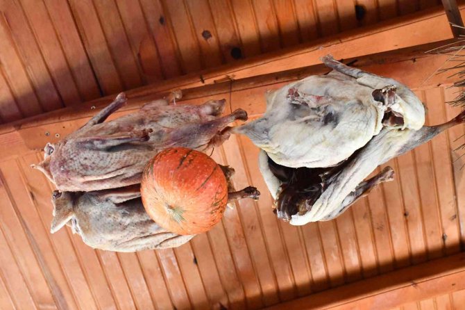 Kaz Yumurtası İle Kaz Yağı Tam Bir Şifa Kaynağı