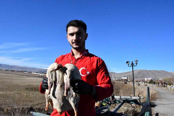 Kaz Yumurtası İle Kaz Yağı Tam Bir Şifa Kaynağı