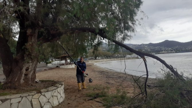 Başkan Aras, Yağış Boyunca Sahadaydı