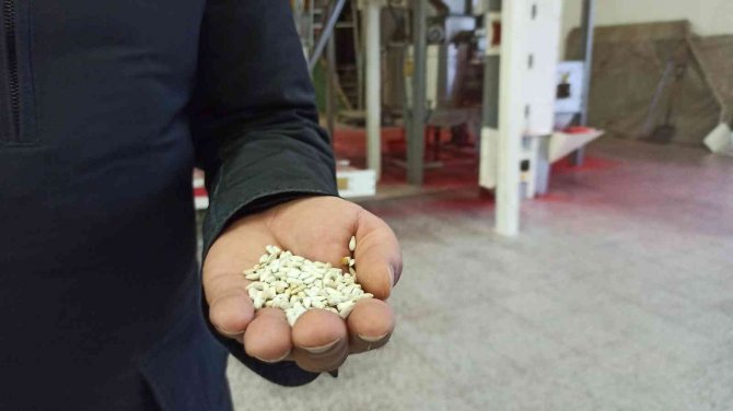 Eskişehir’de Tohum Saklama Ve Gem Bankası