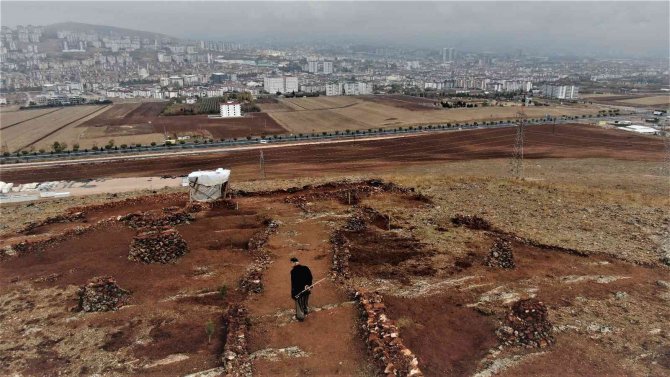 Taşlık Araziyi Ormana Çevirmişti: Yetkililer Teşekkür Edip Fidan Desteğinde Bulundu