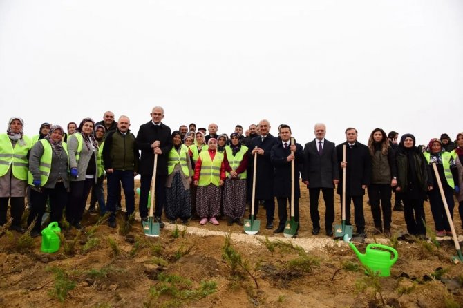 40 Bin Fidanla Türkiye Haritası Oluşturuluyor