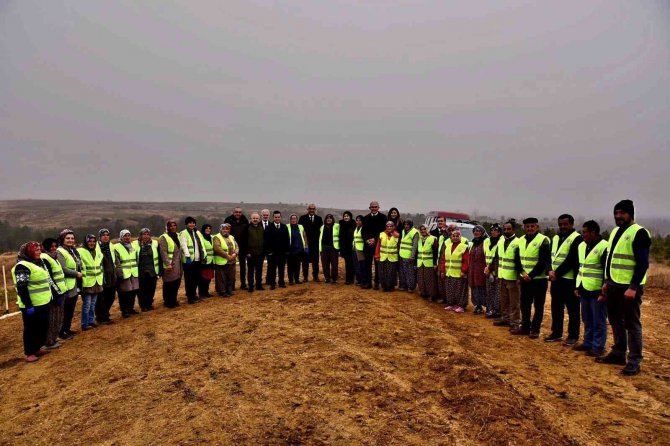 40 Bin Fidanla Türkiye Haritası Oluşturuluyor