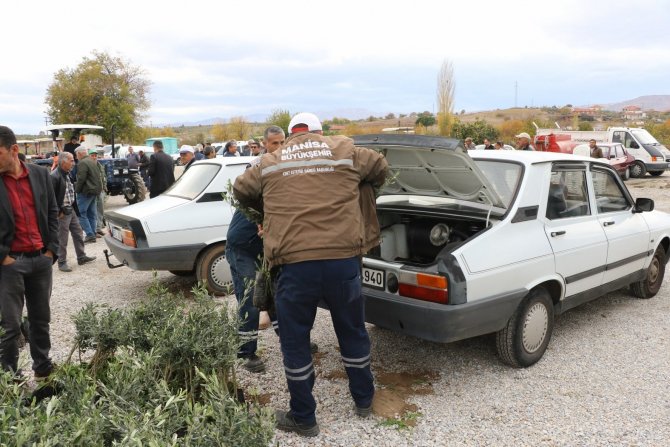 Manisa’da Fidan Destekleriyle Üreticinin Yüzünü Gülüyor