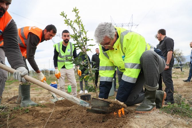 Bu Bahçede 26 Türden 62 Çeşit Meyve Yetişiyor
