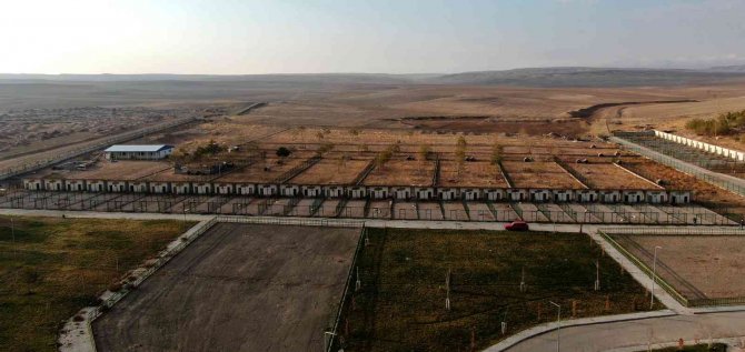 Dünyaca Ünlü Kangallar, 60 Bin Ziyaretçi Ağırladı