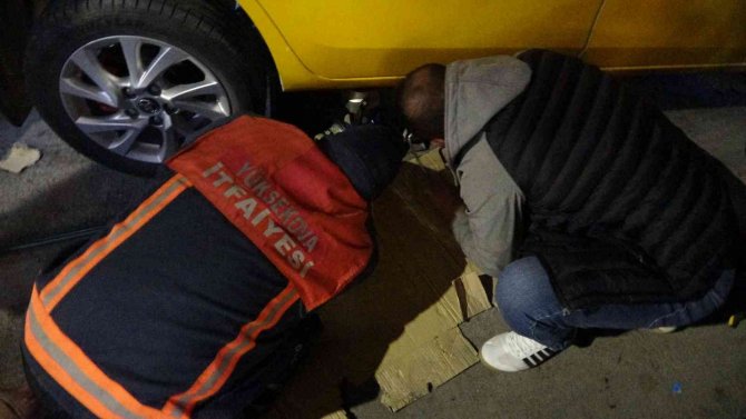 Taksinin Alt Bölümünde Mahsur Kalan Kedi Sıcak Bir Yuvaya Kavuştu