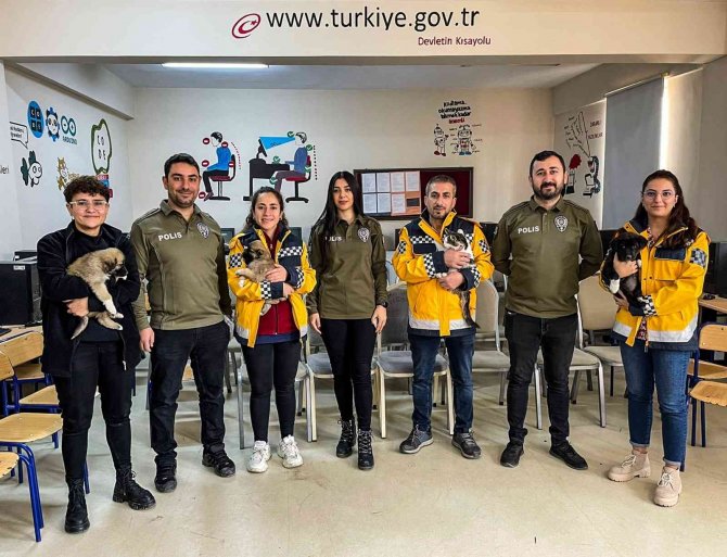 Van’da Çocuklara Hayvan Sevgisi Aşılanıyor