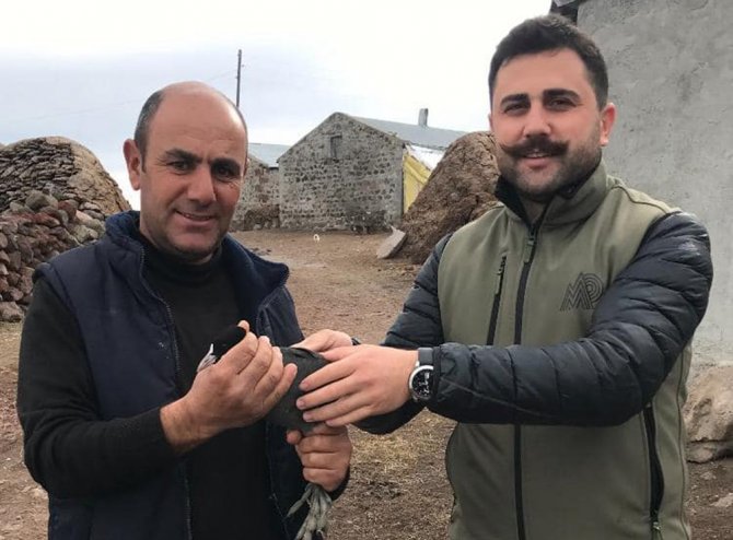 Kars’ta Sakarmeke Tedavi Altına Alındı