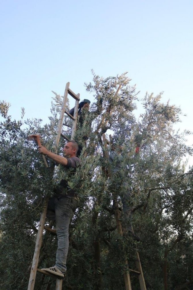 Marmarabirlik’ten 205 Milyon Tl’lik Ödeme