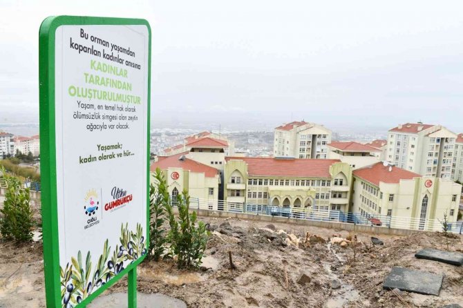 Çiğli’de 346 Kadın İçin Zeytin Fidanları Toprakla Buluşturuldu