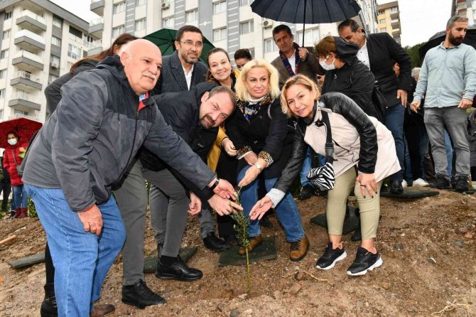 Çiğli’de 346 Kadın İçin Zeytin Fidanları Toprakla Buluşturuldu