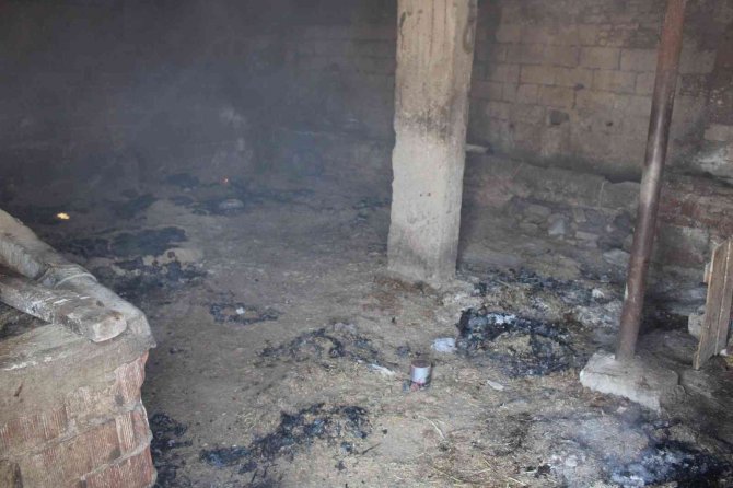 Pire İçin Yorgan Değil, Saman Yakıyorlar