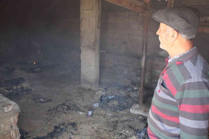 Pire İçin Yorgan Değil, Saman Yakıyorlar