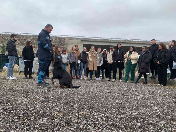 Çek Veteriner Adaylarından Sokak Hayvanları Rehabilitasyon Merkezine Ziyaret