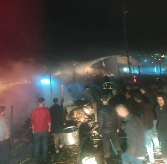 Batman’da Göçerlerin Çadırında Çıkan Yangında 55 Koyun Telef Oldu