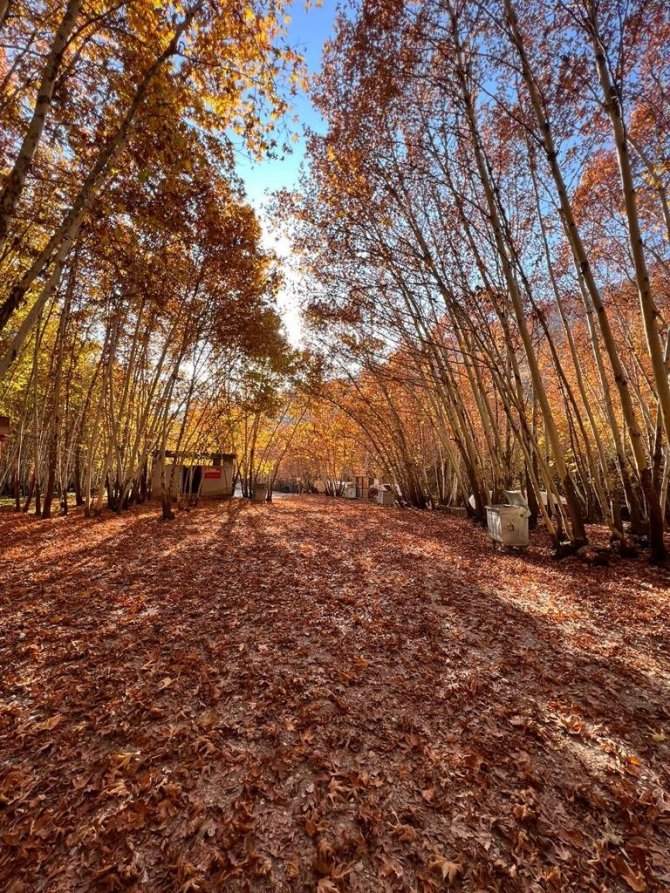 Batman’da Sonbahar Güzelliği Kartpostallık Görüntüler Oluşturdu