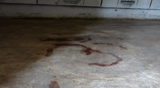 Tavuk Çiftliğindeki Vahşet İçin Müebbet Talebi