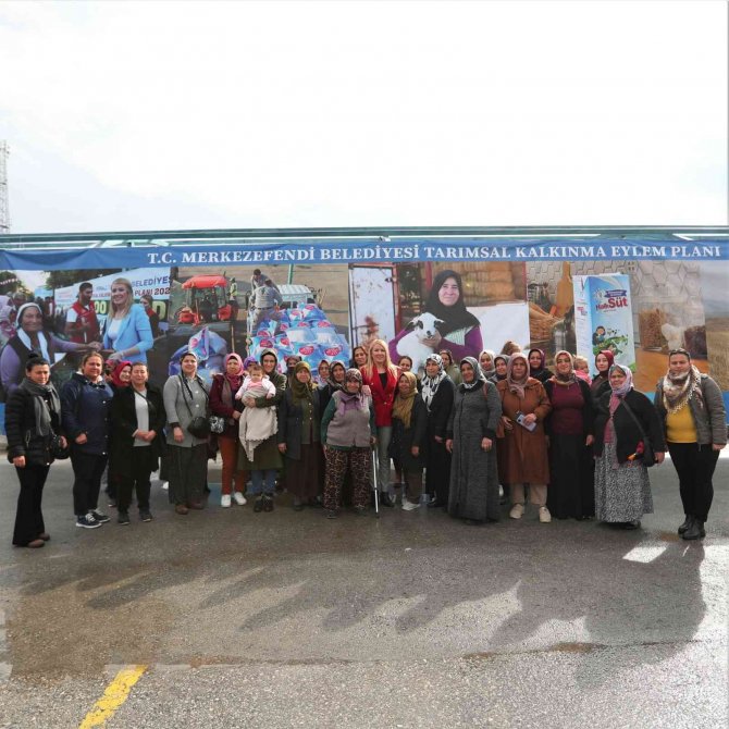 Kadın Üreticilere Küçükbaş Hayvan Ve Yem Desteği Sağlandı