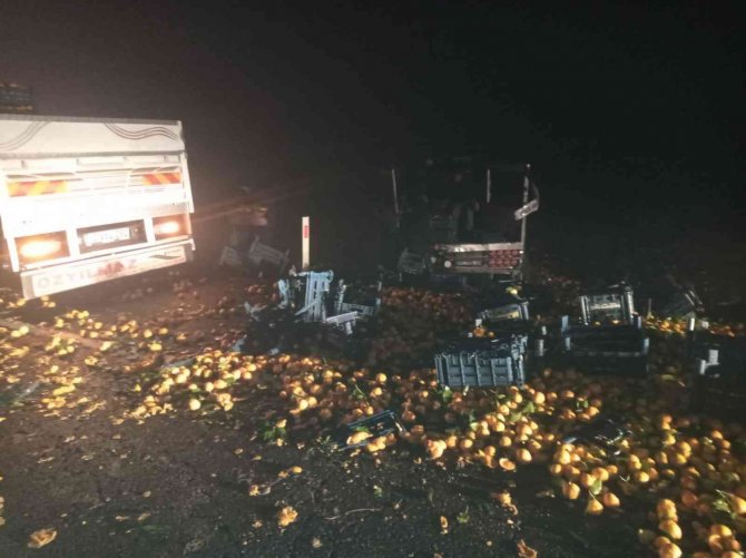 Diyarbakır’da Köpeğe Çarpan Araca Çarpmamak İçin Canından Oldu