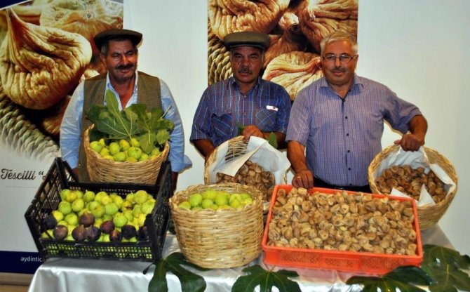 İ̇ncirin 272 Çeşit Dişisi, 58 Çeşit Erkeği Olmak Üzere 330 Türü Bulunuyor