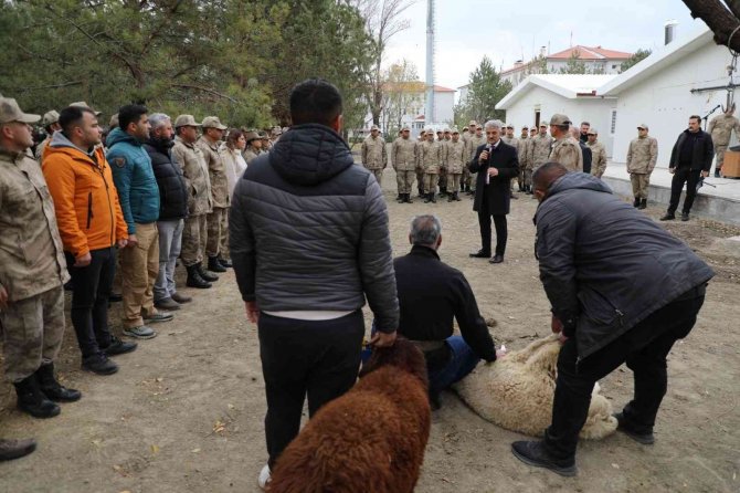 Erzincan’da Şehit Askerler Ve Terörle Mücadelede Başarılı Olunması İçin Kurban Kesildi