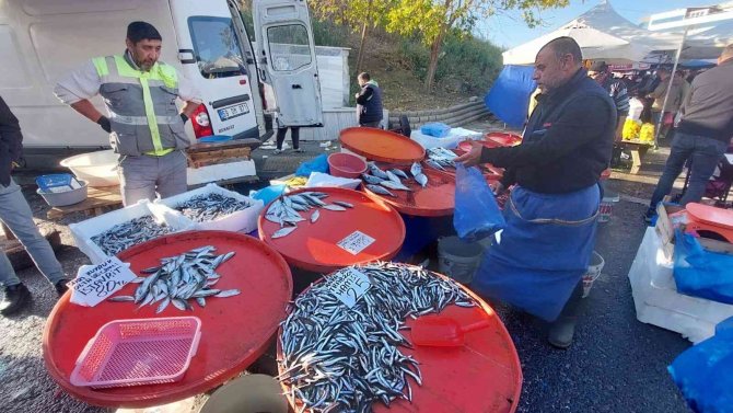 Hamsinin Fiyatı Düştü