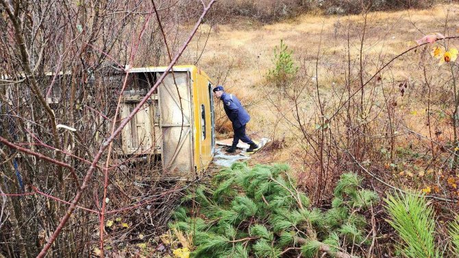 Yolcu Minibüsü Şarampole Devrildi: 7 Yaralı