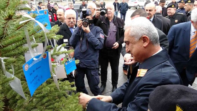 Ağaca Astıkları Notlarla Kadına Yönelik Şiddete ‘Dur’ Dediler
