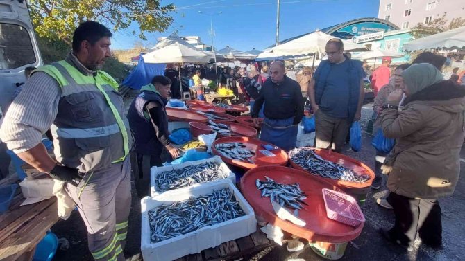 Hamsinin Fiyatı Düştü