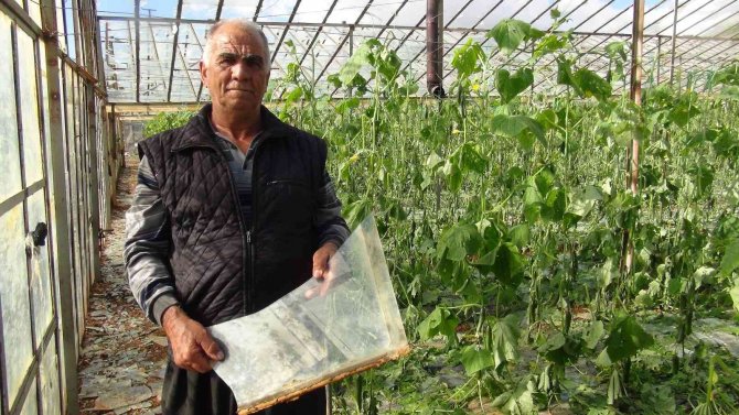 Mersin’de Dolu Felaketinde Cam Seraları Yerle Bir Oldu
