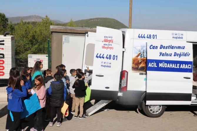 Muğla’da Can Dostlar İçin ’Acil Müdahale Aracı’ Devrede