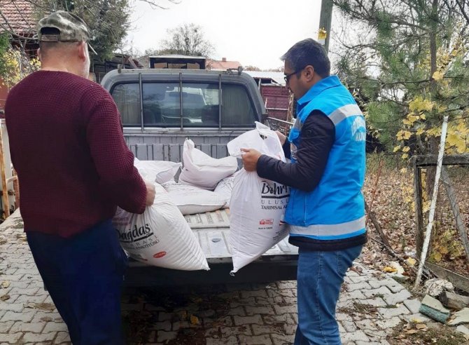Şaphane’de Çiftçilere Bedelsiz 300 Kilo Sertifikalı Tohum Dağıtıldı