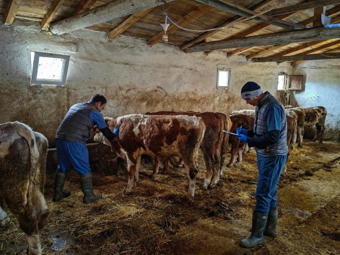 Üreticiler Kkka Hastalığına İlişkin Bilgilendirildi