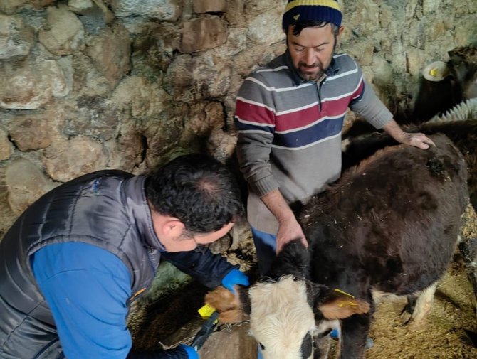 Üreticiler Kkka Hastalığına İlişkin Bilgilendirildi