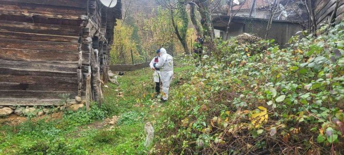 Köyde Çıkan Yangında İki Ev Küle Döndü, Alevler Diğer Evlere Sıçramadan Kontrol Altına Alındı