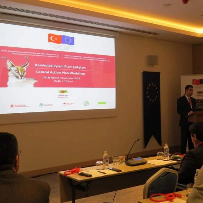 Karakulak Türü Eylem Planı Çalıştayı Muğla’da Yapıldı