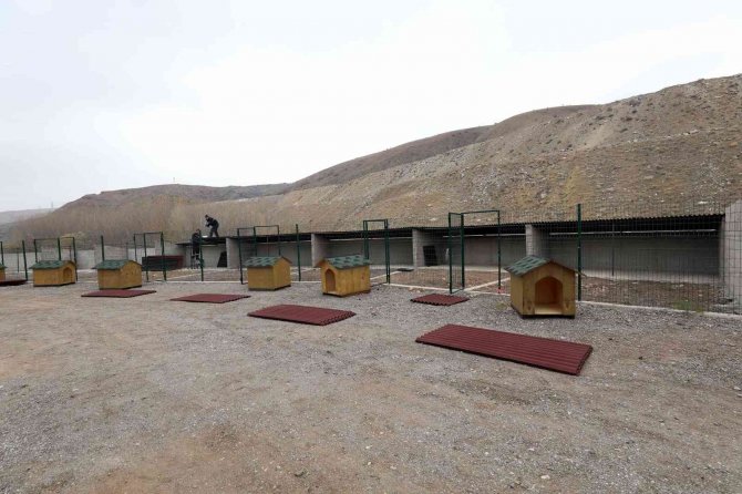 Can Dostlar İçin Yeni Barınak