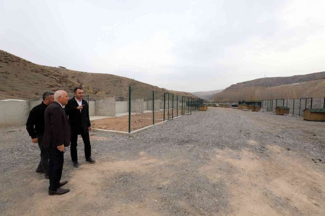 Can Dostlar İçin Yeni Barınak