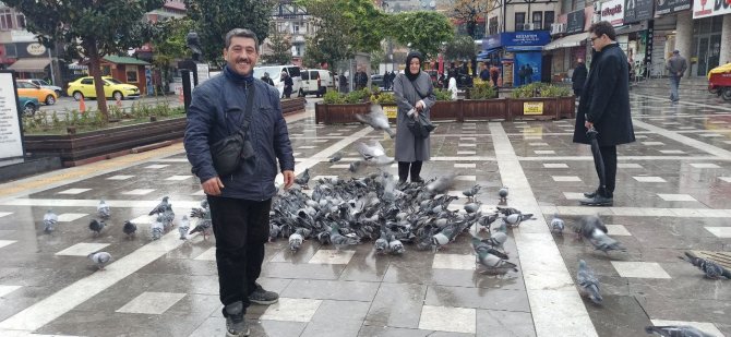 Köpek Hasta Güvercinin Başında Bekledi