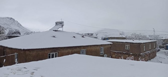 Bitlis’te Kar Yağışı