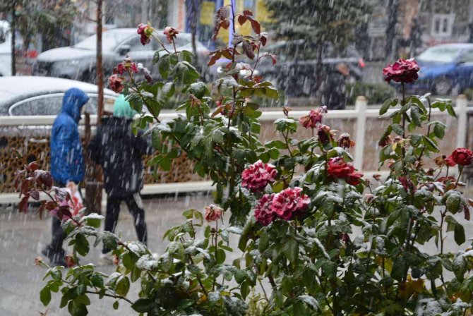 Hakkari’de Lapa Lapa Kar Yağışı