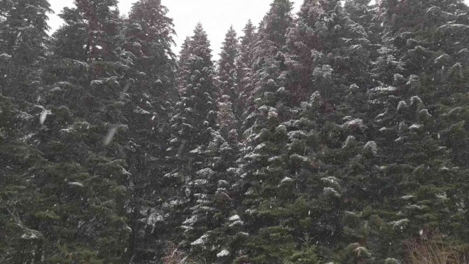 Karabük’te Kar Yağışı Devam Ediyor