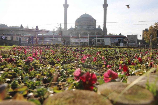 Büyükşehir, Peyzaj Çalışmaları İ̇le Kent Estetiğini Artırıyor