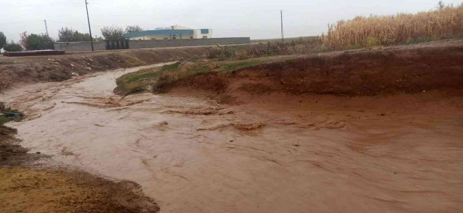 Mardin’de Şiddetli Yağmurda Dereler Taştı