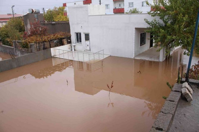Midyat’ta Evleri Su Bastı, Yollar Göle Döndü; Vatandaşlar Belediyeye Tepki Gösterdi