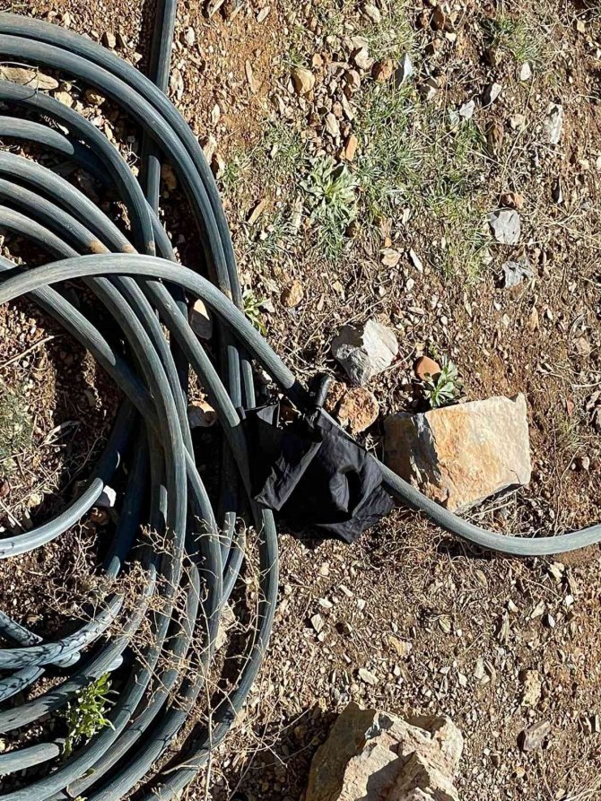 21 Yaşındaki Kayıp Sedanur’u Bulmak İçin Arama Çalışması Başlatıldı
